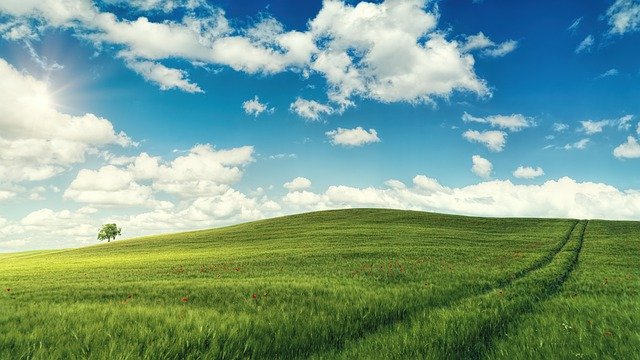 桃園市大園自造教育及科技中心114年5月份教師增能研習