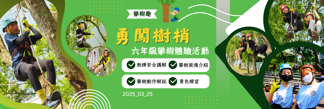 勇闖樹梢樂園六年級攀樹體驗活動